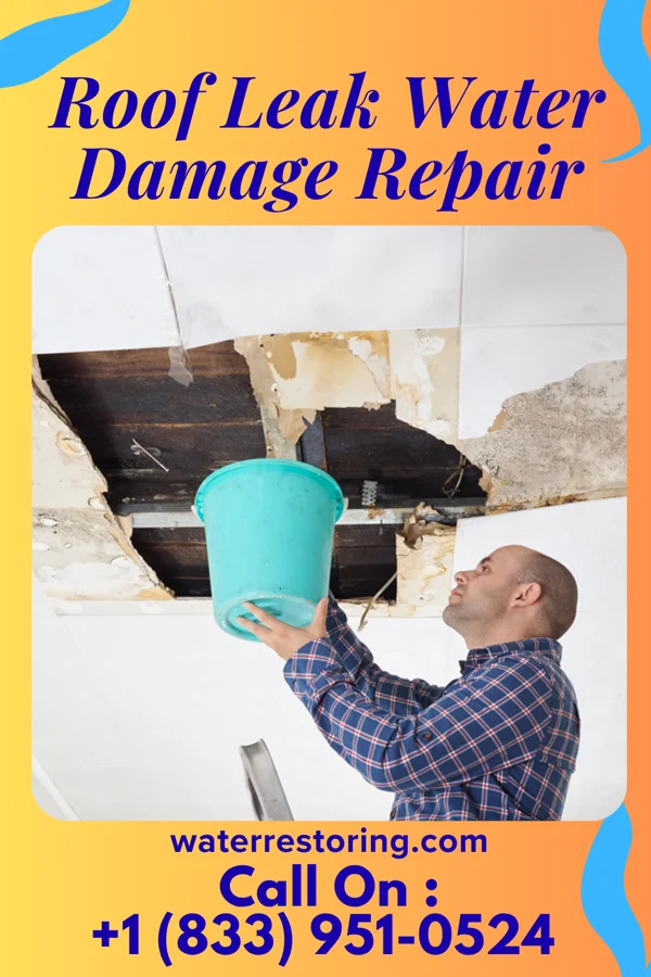Roof Leak Water Damage Repair in Ridgefield, WA